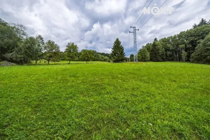 Prodej pozemku pro bydlení, Horní Vltavice, 2934 m2