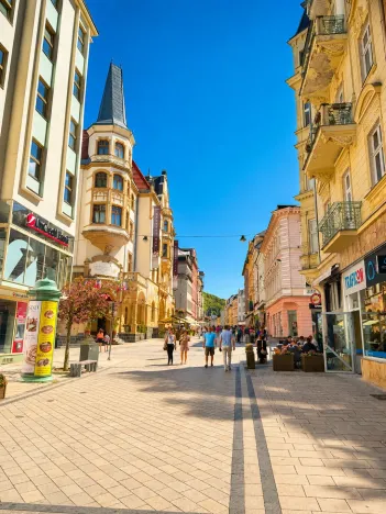 Prodej bytu 2+1, Karlovy Vary, T. G. Masaryka, 67 m2