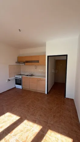 Pronájem bytu 1+1, Děčín - Děčín VI-Letná, 43 m2