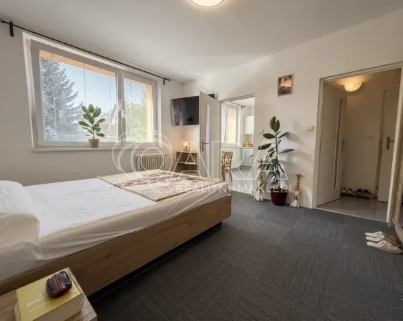 Pronájem bytu 1+1, Praha - Kyje, Dvořišťská, 34 m2
