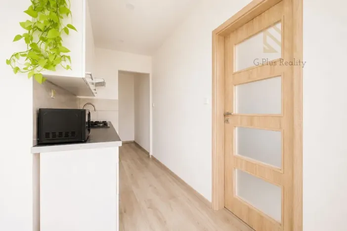 Prodej bytu 2+1, Ústí nad Labem - Střekov, Tolstého, 62 m2