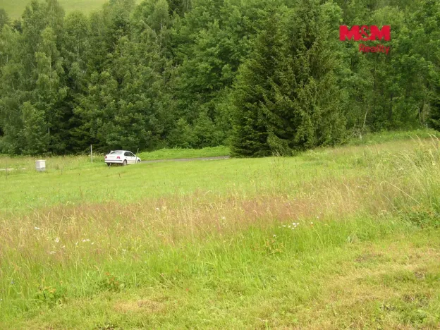 Prodej louky, Benecko, 4214 m2