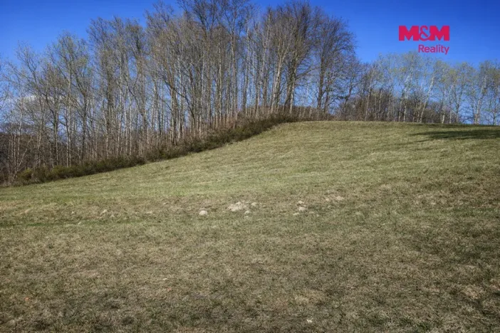 Prodej louky, Janův Důl, 2749 m2