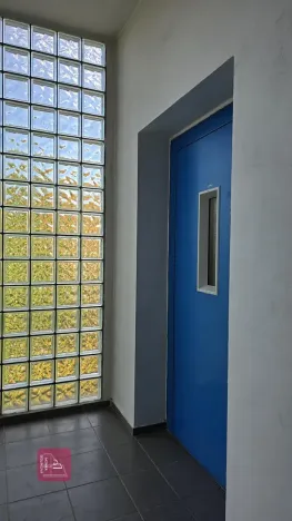 Prodej bytu 2+1, Brno, Souběžná, 55 m2