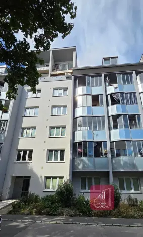 Prodej bytu 2+1, Brno, Souběžná, 55 m2