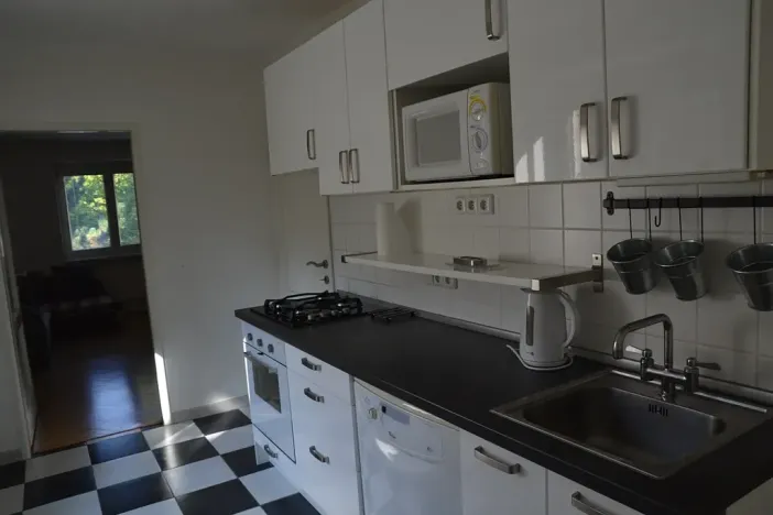 Pronájem bytu 2+1, Jihlava, Leoše Janáčka, 58 m2