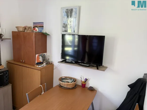 Prodej bytu 1+kk, Slapy, 17 m2