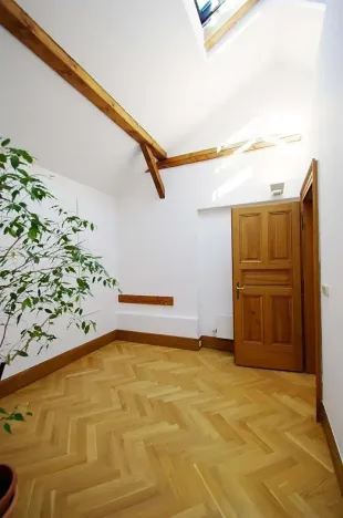 Pronájem atypického bytu, Praha - Josefov, Žatecká, 195 m2
