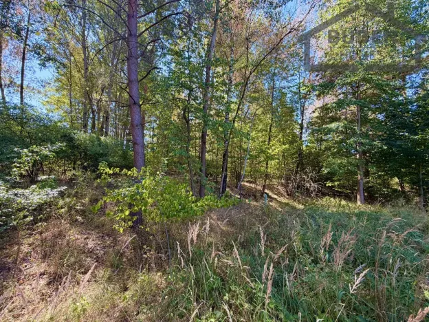 Prodej pozemku pro bydlení, Přimda - Újezd pod Přimdou, 894 m2