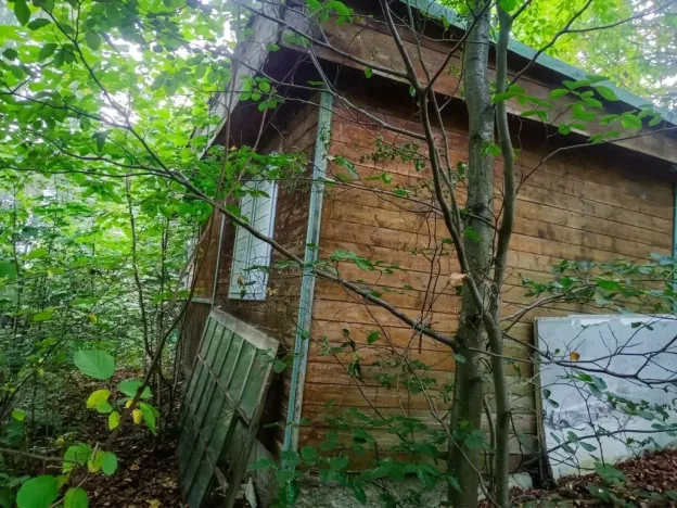 Prodej lesa, Štíty, 373 m2