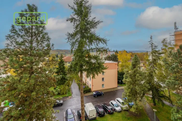 Prodej bytu 1+kk, Karlovy Vary, Fibichova, 18 m2