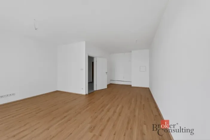 Prodej bytu 2+kk, Plzeň - Jižní Předměstí, Železná, 69 m2