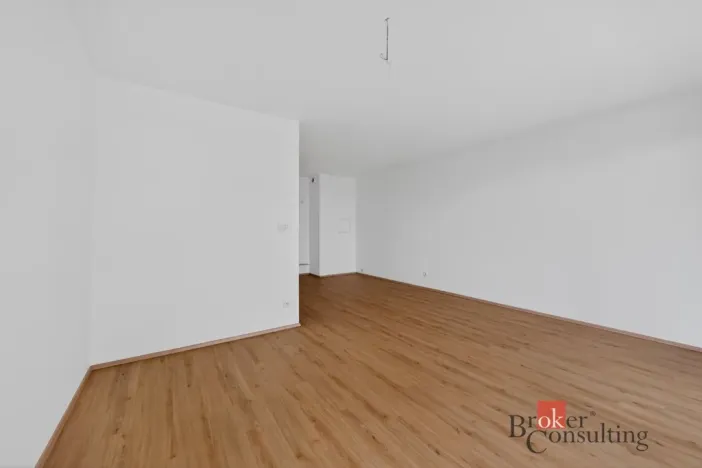 Prodej bytu 2+kk, Plzeň - Jižní Předměstí, Železná, 69 m2