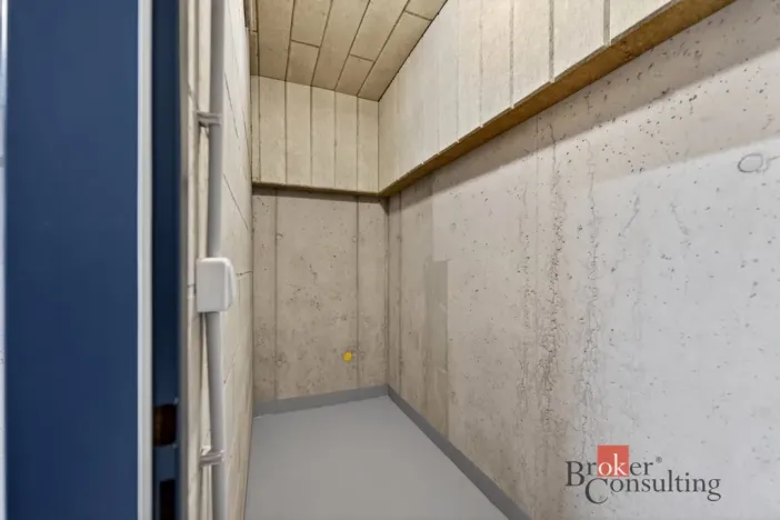 Prodej bytu 2+kk, Plzeň - Jižní Předměstí, Železná, 69 m2