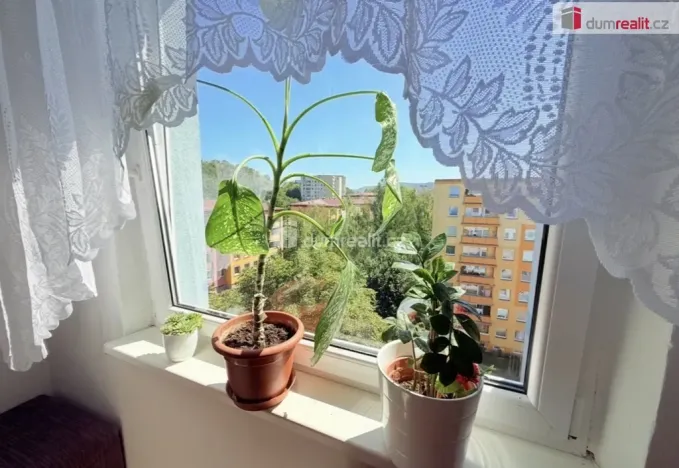 Pronájem bytu 3+1, Ústí nad Labem - Krásné Březno, Neštěmická, 68 m2