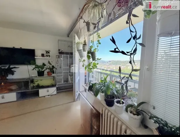 Pronájem bytu 3+1, Ústí nad Labem - Krásné Březno, Neštěmická, 68 m2