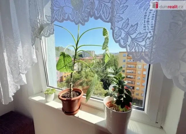 Pronájem bytu 3+1, Ústí nad Labem - Krásné Březno, Neštěmická, 68 m2