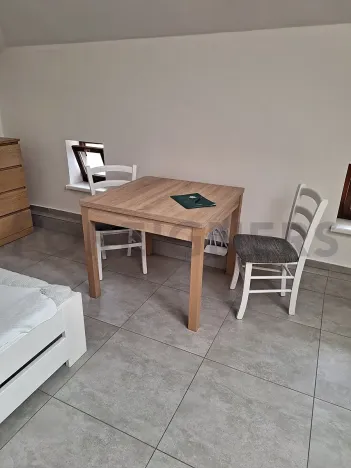 Pronájem bytu 1+kk, Olomouc, Ztracená, 20 m2