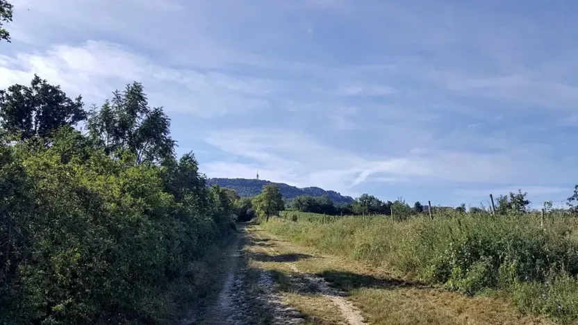 Prodej pozemku pro bydlení, Dolní Věstonice, 834 m2