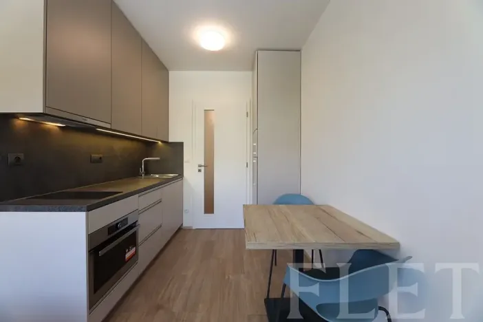 Pronájem bytu 1+kk, Praha - Holešovice, V háji, 30 m2