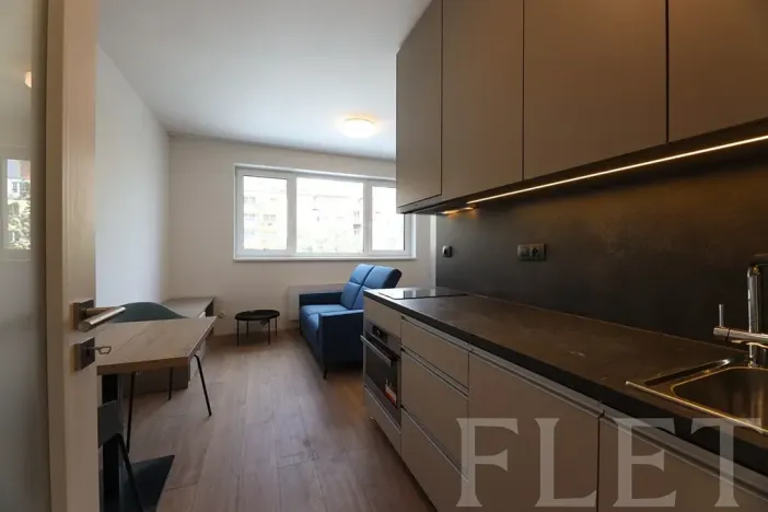 Pronájem bytu 1+kk, Praha - Holešovice, V háji, 30 m2