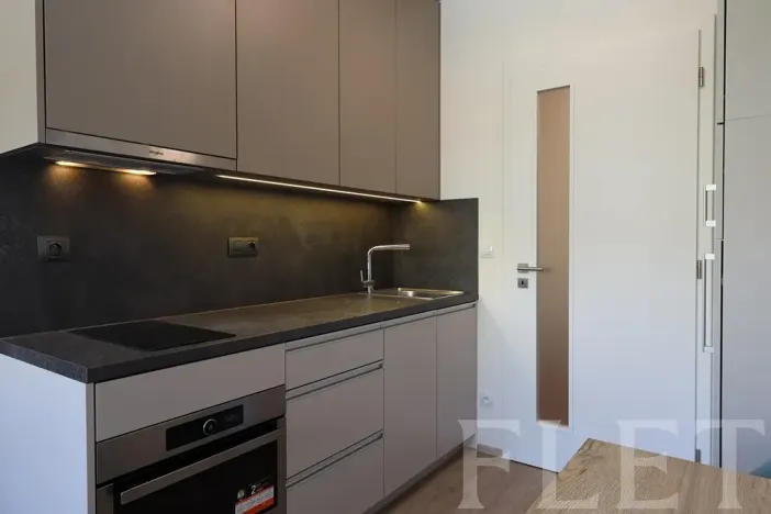 Pronájem bytu 1+kk, Praha - Holešovice, V háji, 30 m2