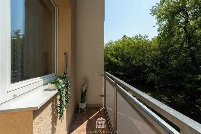 Prodej bytu 2+1, Brno, ulice Čoupkových, 60 m2