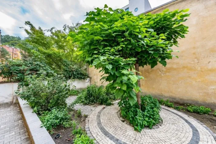 Pronájem bytu 2+kk, Praha - Karlín, Březinova, 50 m2