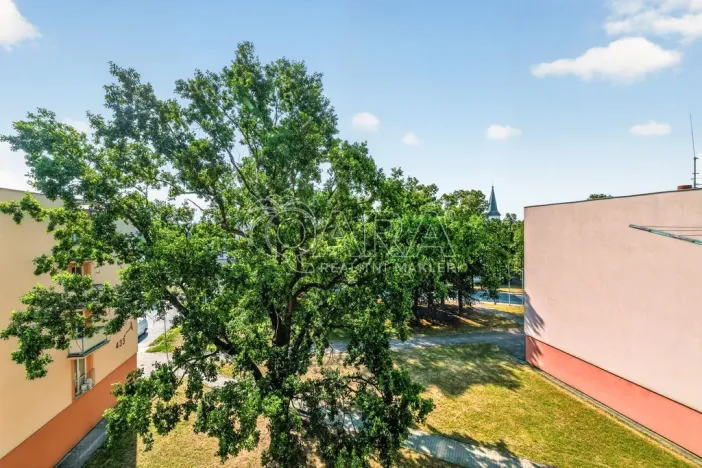 Prodej bytu 2+1, Zliv, Dolní náměstí, 61 m2