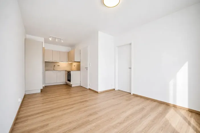 Prodej bytu 2+kk, Praha - Vysočany, Pod Harfou, 42 m2