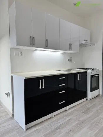 Prodej bytu 2+1, Brno, Olbrachtovo náměstí, 58 m2