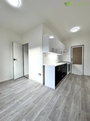 Prodej bytu 2+1, Brno, Olbrachtovo náměstí, 58 m2