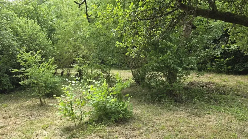 Prodej pozemku pro bydlení, Jilemnice, Na Drahách, 1874 m2