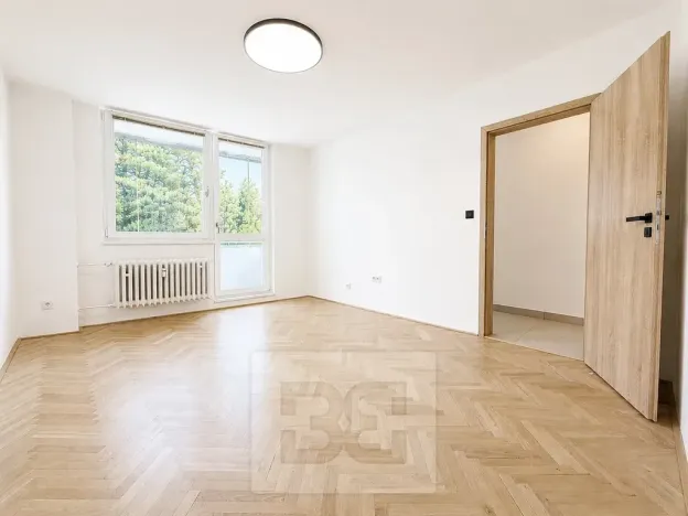 Pronájem bytu 2+1, Brno, Lipská, 55 m2