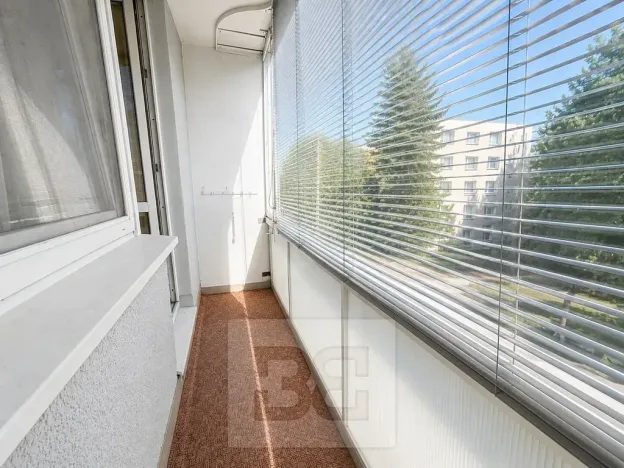 Pronájem bytu 2+1, Brno, Lipská, 55 m2