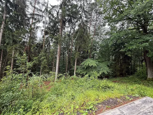 Prodej chaty, Zámostí-Blata, 50 m2
