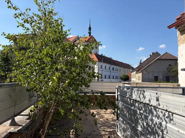 Prodej rodinného domu, Březnice, Počapská, 93 m2