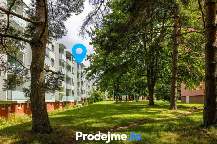 Prodej bytu 4+1, Žďár nad Sázavou, Wolkerova, 70 m2