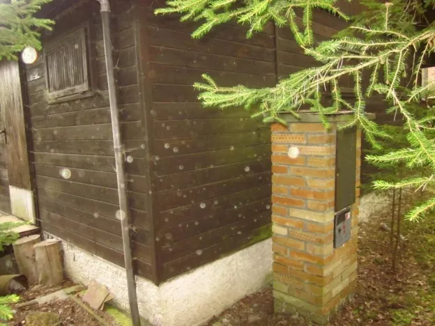 Dražba chaty, Mladošovice, 49 m2