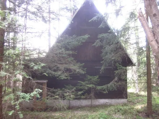Dražba chaty, Mladošovice, 49 m2