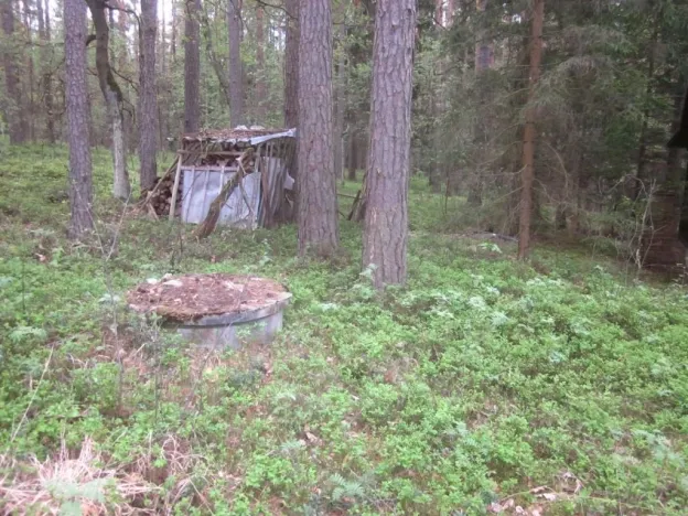 Dražba chaty, Mladošovice, 49 m2