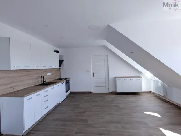 Pronájem rodinného domu, Dubí - Běhánky, Sportovní, 268 m2