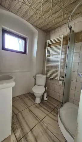 Prodej rodinného domu, Radnice, Dědická, 240 m2