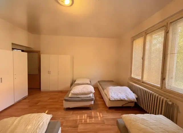 Pronájem činžovního domu, Plzeň, Mánesova, 305 m2
