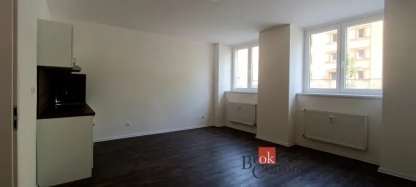 Pronájem bytu 1+kk, Ostrava - Přívoz, Palackého, 33 m2