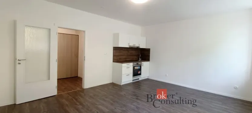 Pronájem bytu 1+kk, Ostrava - Přívoz, Palackého, 33 m2