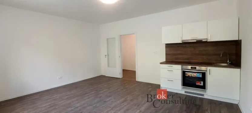 Pronájem bytu 1+kk, Ostrava - Přívoz, Palackého, 33 m2