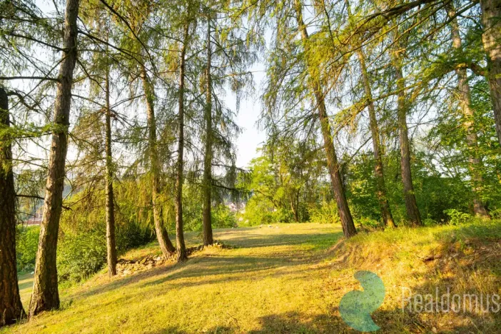 Prodej pozemku pro bydlení, Čkyně, 1083 m2