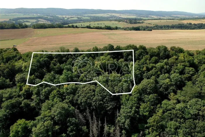Prodej sadu/vinice, Liteň - Běleč, 9074 m2