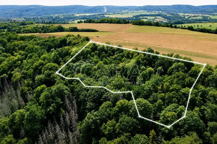 Prodej sadu/vinice, Liteň - Běleč, 9074 m2
